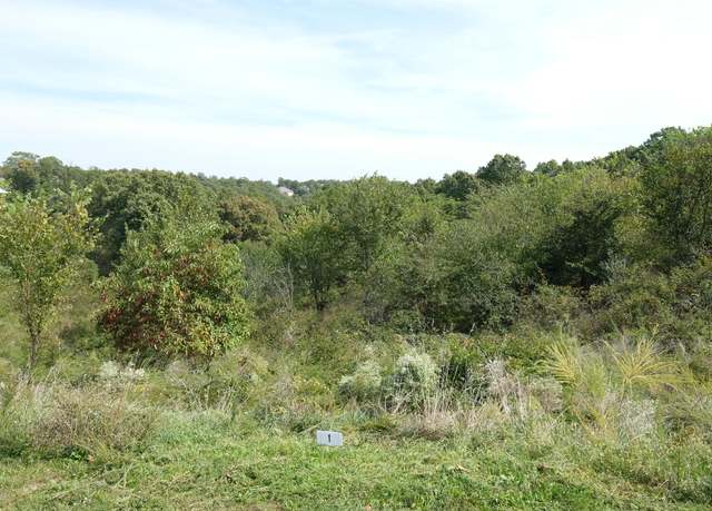 Property at 374 Emory Creek Rd, Branson, MO 65616
