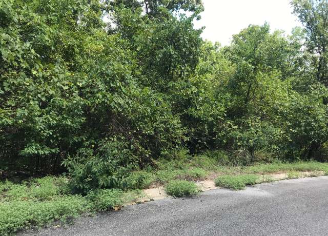 Property at Lot 245 Skylee Dr, Hollister, MO 65672