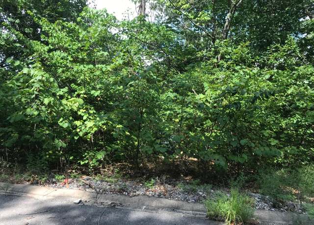Property at Lot 319 Sharay Cir, Hollister, MO 65672