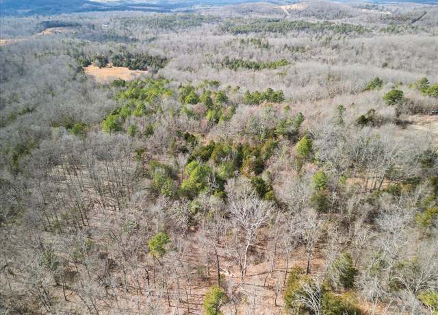 Property at 000 State Highway Ff Section B, Zanoni, MO 65784