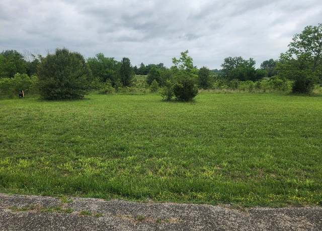 Property at Lot 9 Country Music Ln, Galena, MO 65656