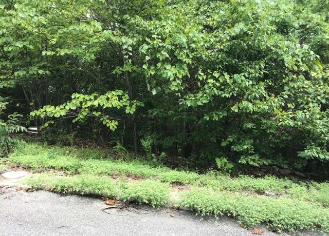 Property at Lot 256 Skylee Dr, Hollister, MO 65672
