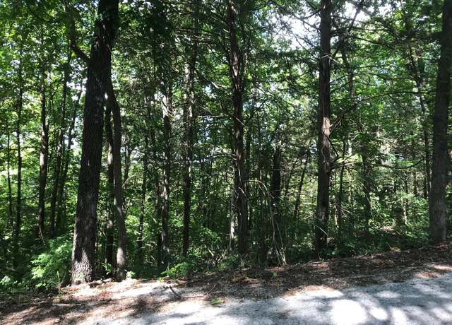 Property at Lot 235 Skylee Cir, Hollister, MO 65672