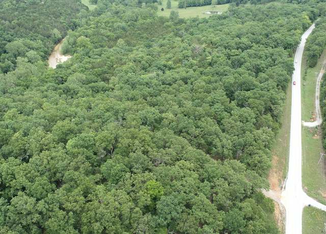Property at 000 County Road 814, Gainesville, MO 65655