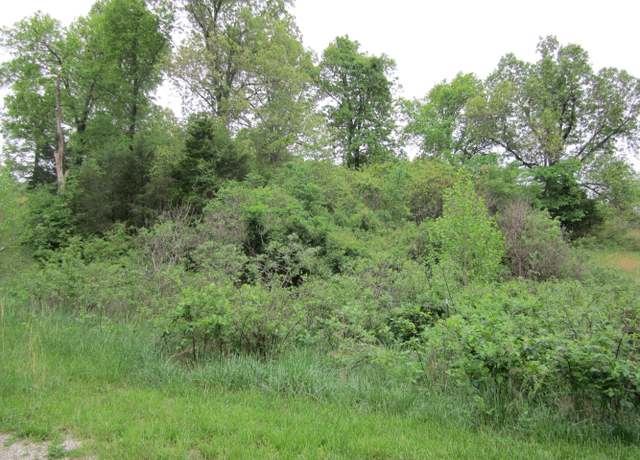 Property at Lots 38 & 44 Journeys End, Forsyth, MO 65653