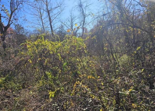 Property at 000 Spruce Ave, Merriam Woods, MO 65740
