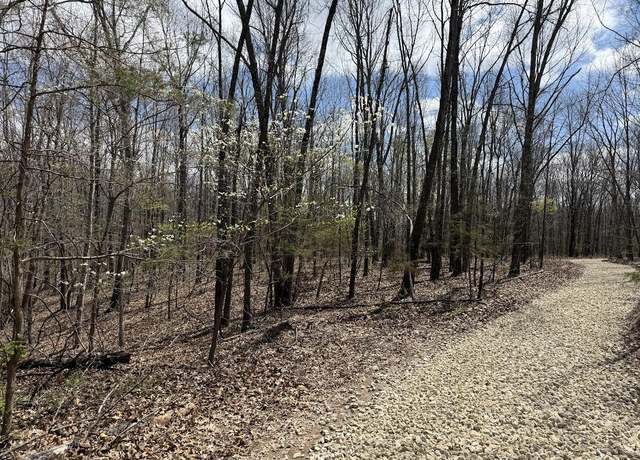 Property at Tr 3 Lot F Tbd, Rogersville, MO 65742