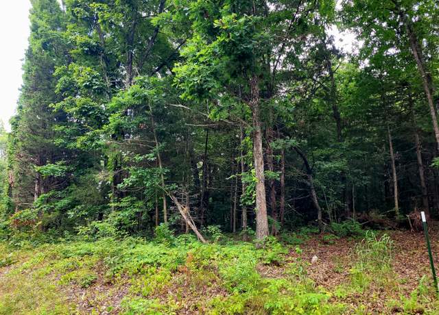 Property at Lot 1 Tate Rd, Ridgedale, MO 65739