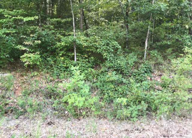 Property at Lot 214 Bayview Dr, Hollister, MO 65672