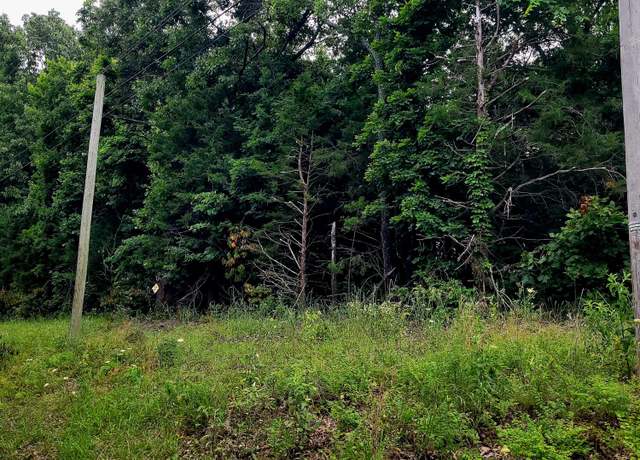 Property at Lot 2 Tate Rd, Ridgedale, MO 65739