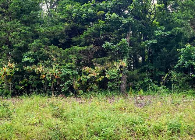 Property at Lot 2 Tate Rd, Ridgedale, MO 65739
