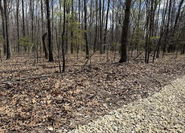 Property at Tr 3 Lot G Tbd, Rogersville, MO 65742