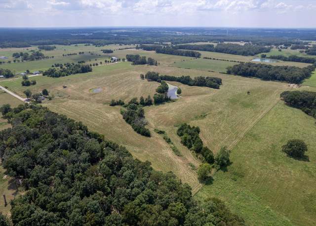 Property at Tbd Bass Rd, Rogersville, MO 65742