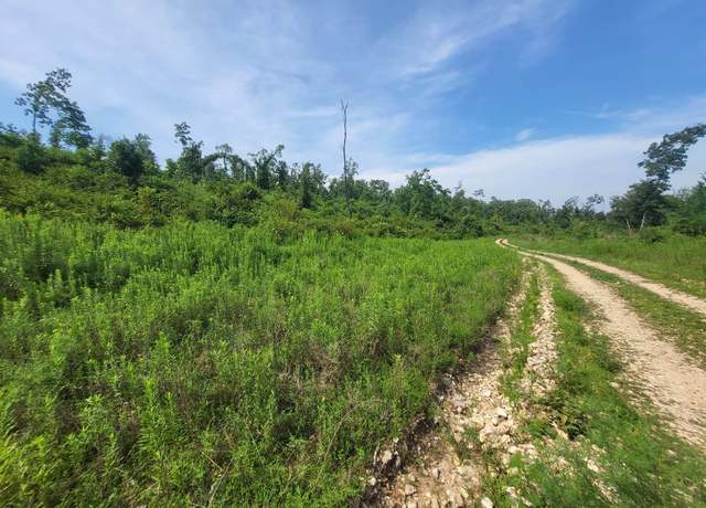 Property at 0 Tract # 60 Cedar Gap Hh, Seymour, MO 65746
