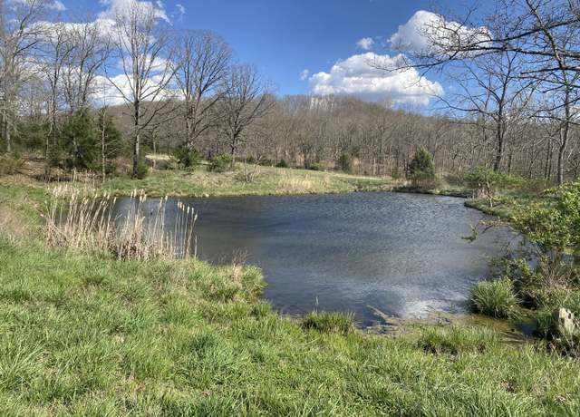 Property at 000 County Road 312, Ava, MO 65608