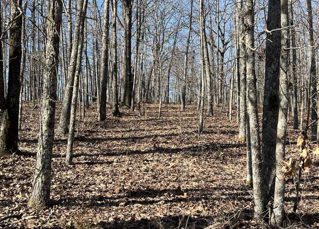 Property at Lot 3 County Road 113, Alton, MO 65606
