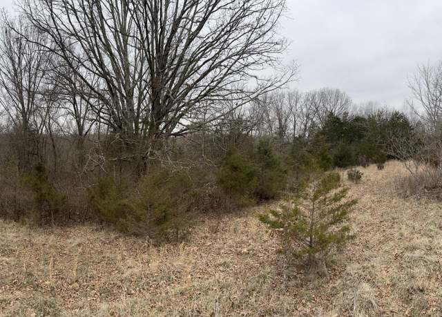 Property at 000 Spout Springs Rd, Fordland, MO 65652