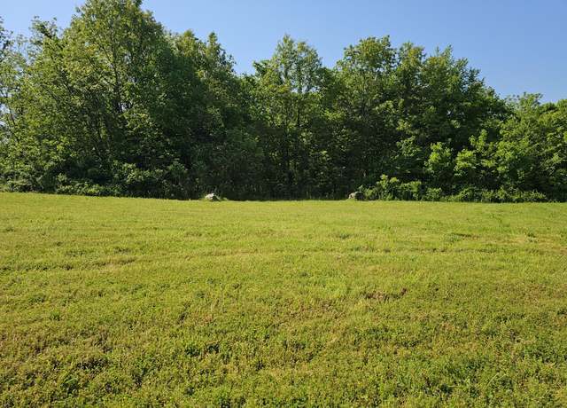 Property at Lot 10 Fox Haven Dr, Mt Vernon, MO 65712