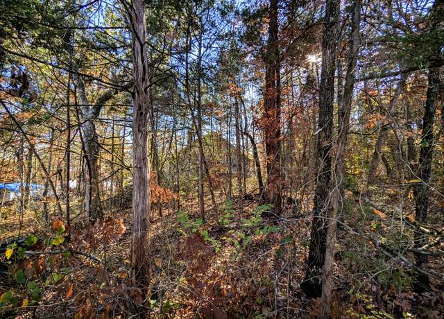 Property at 000 Lot 69 And 70 Bluebird Rd, Rockaway Beach, MO 65740