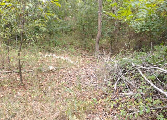 Property at 220 Harmony Ln, Branson, MO 65616