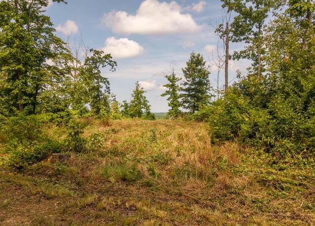 Property at 0 Bobcat Ln, Mammoth Spring, AR 72554