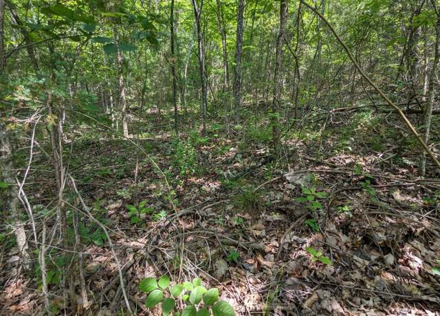 Property at Lots 34,35 Virgin Bluff Dr, Galena, MO 65656