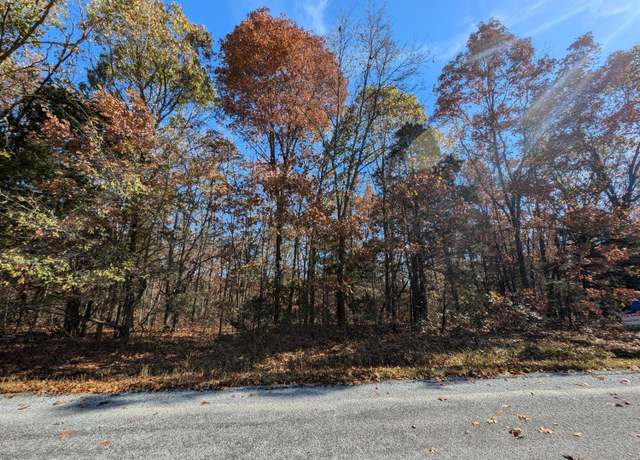 Property at 000 Ridgeview Pt, Cape Fair, MO 65624
