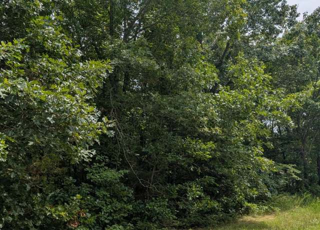 Property at 000 Ridgeview Pt, Cape Fair, MO 65624