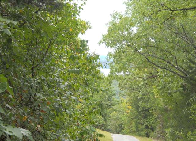 Property at 9a Blueberry Hill Ln, Branson West, MO 65737