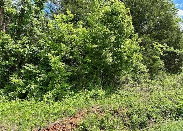 Property at 101 Isabella Ln, Horseshoe Bend, AR 72512