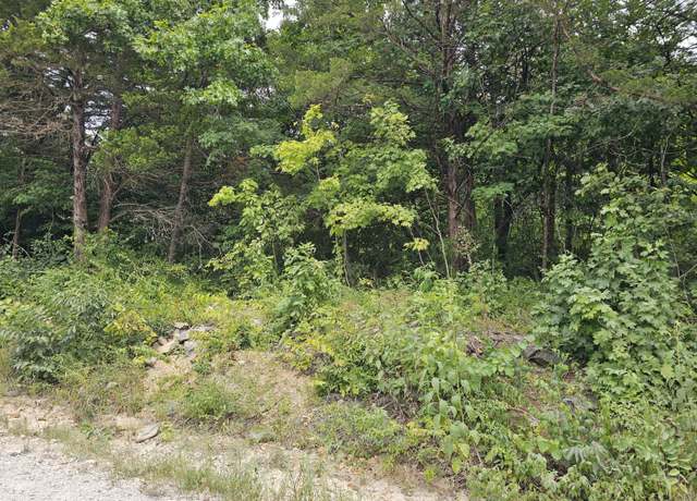 Property at 0000 Oak Dr, Pittsburg, MO 65724