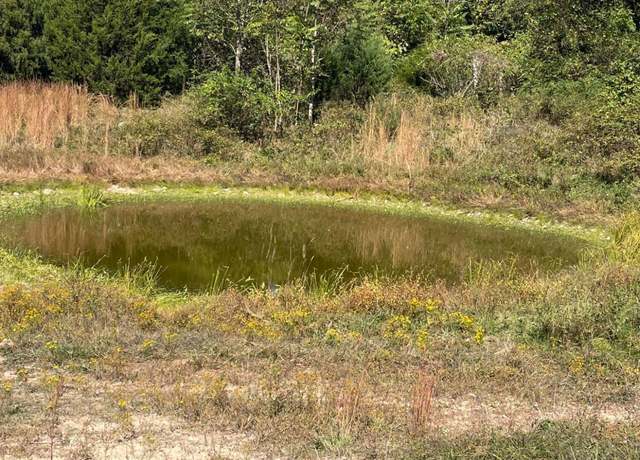 Property at 6312 County Road W76-436, Ava, MO 65608