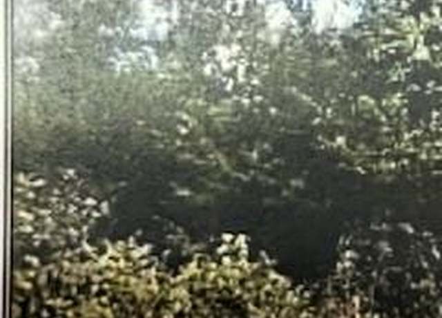Property at 000 County Road 421, Birch Tree, MO 65438