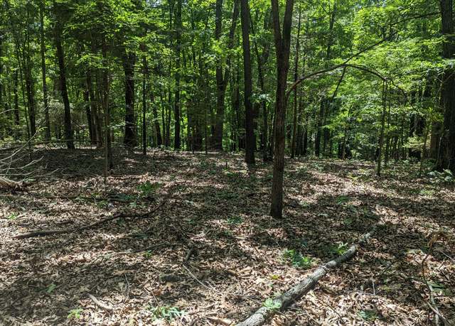 Property at 000 Lot # 94 Hwy 173, Cape Fair, MO 65624