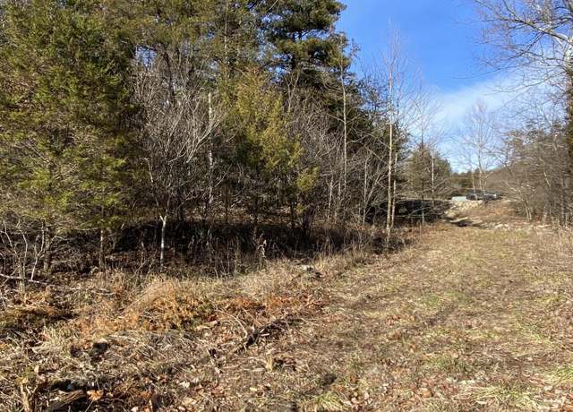 Property at 000 Branson Hills Parkway; Tract 1, Branson, MO 65616