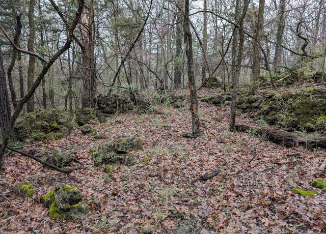 Property at 000 Grier Branch Lot 1 Rd, Strafford, MO 65757
