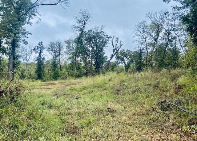 Property at 294 E Dade 68, Greenfield, MO 65661