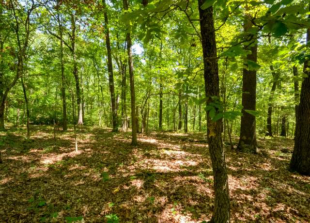 Property at 000 Wood Thrush Ln, Ozark, MO 65721