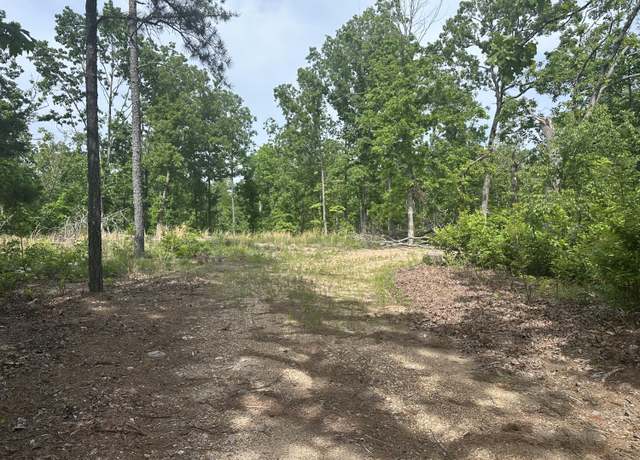 Property at 000 Highway 21 And County Road 546, Ellington, MO 63638