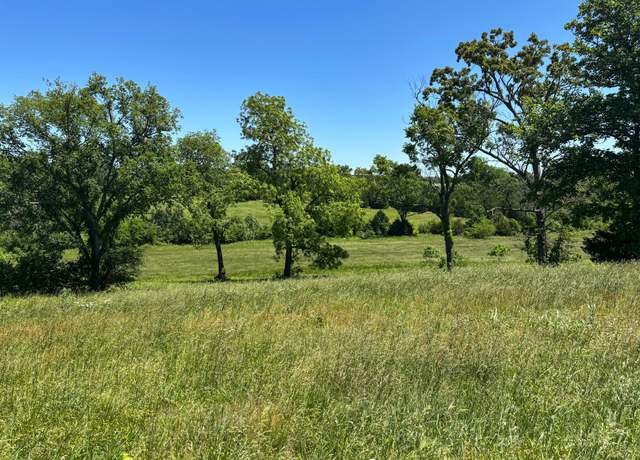 Property at Tbd Highway 160, Theodosia, MO 65761