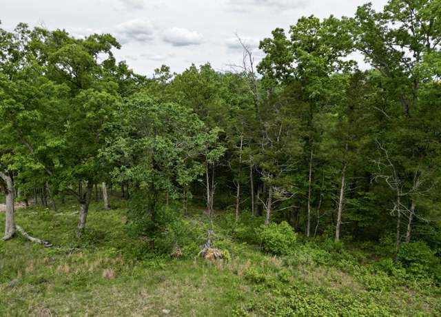 Property at 152 Shinnecock Hills Dr, Branson, MO 65616