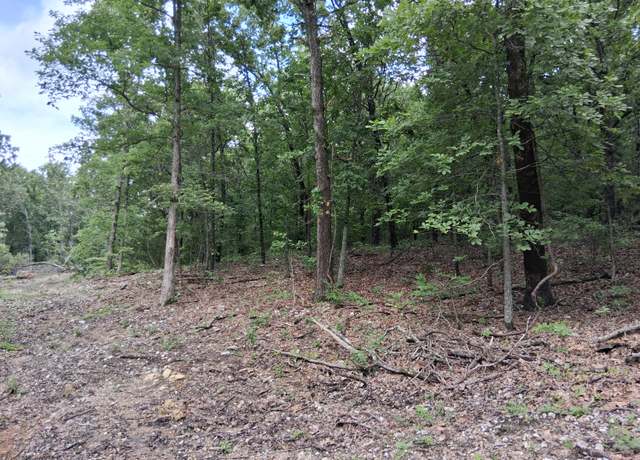 Property at Tbd County Road 350, Dora, MO 65637