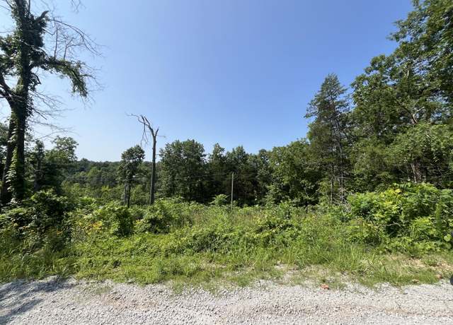 Property at Lot 9 & 10 Button Wood, Theodosia, MO 65761