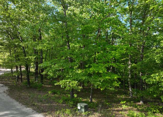 Property at Lot 8 Buckskin Rdg, Highlandville, MO 65669