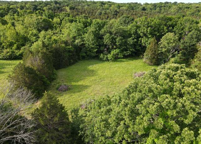 Property at 24012 County Road 308, Pittsburg, MO 65724