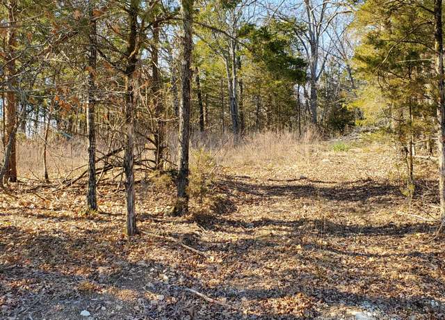 Property at 000 Lot 101 Summer Breeze Ln, Kimberling, MO 65686