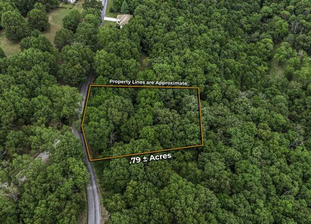 Property at 38 Mule Barn Dr, Cape Fair, MO 65624