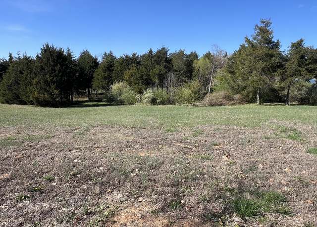 Property at Lot 3 Doc Meyer Rd, Seligman, MO 65745