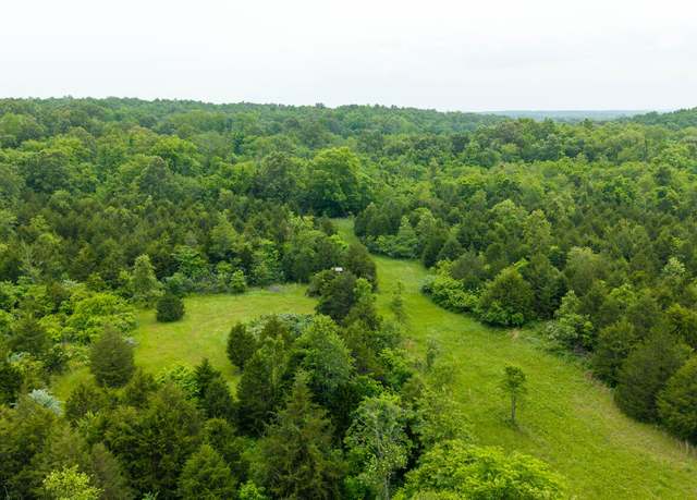 Property at Tbd County Road 102, Alton, MO 65606