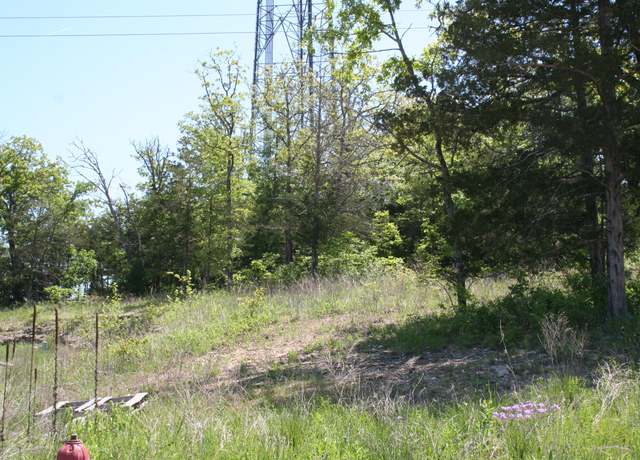 Property at 129 Deauville Cir, Branson, MO 65616